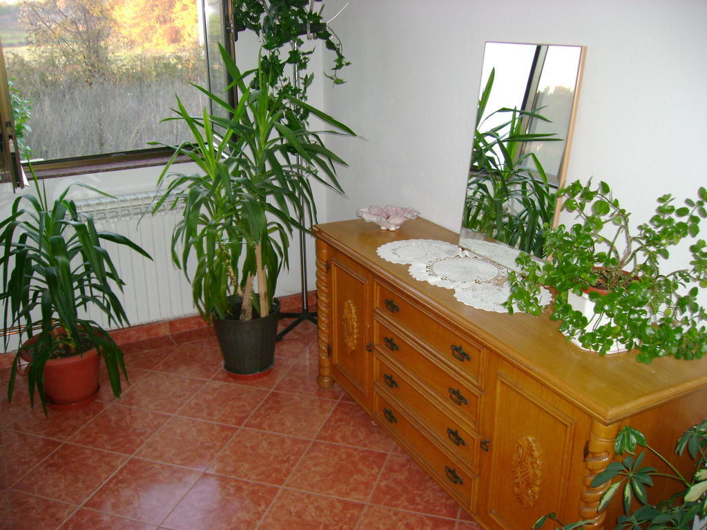 Guest House Robi Medjugorje Phòng bức ảnh