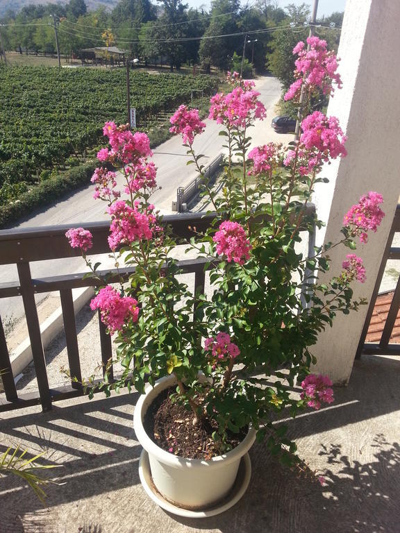 Guest House Robi Medjugorje Ngoại thất bức ảnh